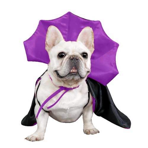 Disfraz de Capa Vampiro para Perros y Gatos Halloween miniatura 2