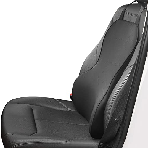 Top 10 Best Back Cushion For Driving Reviews & Buying Guide Katynel