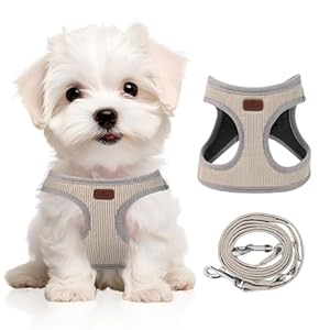 Dog Harness with Multifunction Dog Leash,No Pull Reflective Step-in Harness for Soft Adjustable No Choke Escape Proof,Easy Walk Dog Harness for Puppy,Small Dogs (Beige &Grey, XS)