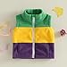 Feclmiyt Toddler Boys Fleece Vest Fashion Sleeveless Contrast Color Zip Up Kid Jackets Warm Gilet Carnival Clothes (Purple, 18-24 Months)