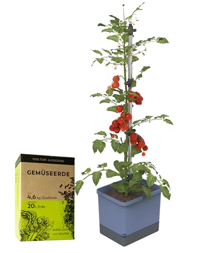 GUSTA GARDEN Tom Tomato Tomatentopf Blau - Pflanzentopf mit Rankhilfe, Bewässerungssystem & Befestigungshaken - Set inkl. 20L Erde - 4,5L Wassertank & 20L Erdvolumen (blau, mit Erde)