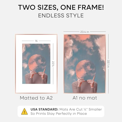 Image of Homeforia A1 Rose Poster Frame, High-End Metal, A2 Mat, Glass | High End Aluminum, Tempered Glass, Acid-Free A2 Removable Mat, A1 Edge-to-Edge Display, Wall Kit, Set Of 1