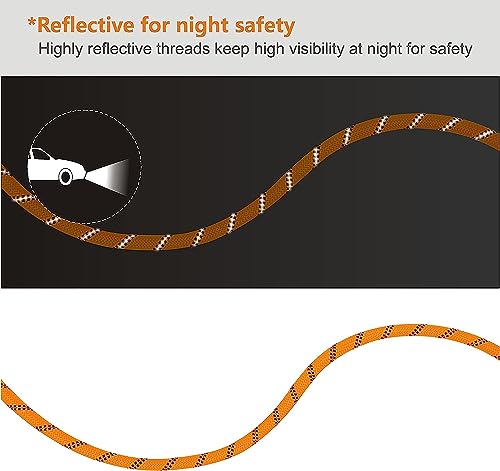 Image of 5FT Strong Dog Leash with Comfortable Padded Handle and Highly Reflective Threads Dog Leashes for Small Medium and Large Dogs (Double Handle - Orange)