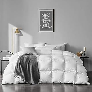 APSMILE Queen Size Goose Feather Down Comforter - Ultra Soft All Seasons 100% Organic Cotton Feather Down Duvet Insert Medium Warm Quilted Bed Comforter with Corner Tabs (90x90,Ivory White)