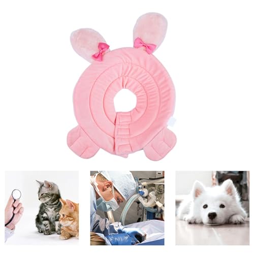 Collier de guérison pour blessures de chat lors du retour à la maison - 3