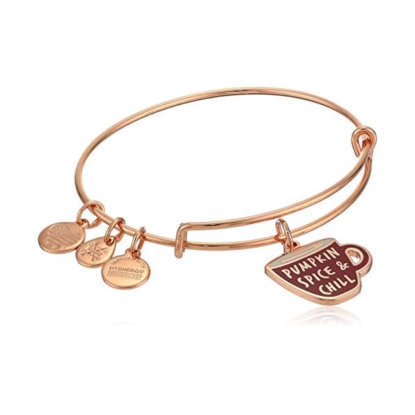 Alex-and-Ani-Color-Infusion-Pumpkin-Spice-and-Chill-Charm-Bangle Alex and Ani Women's Color Infusion Pumpkin Spice and Chill Charm Bangle, Shiny Rose Gold