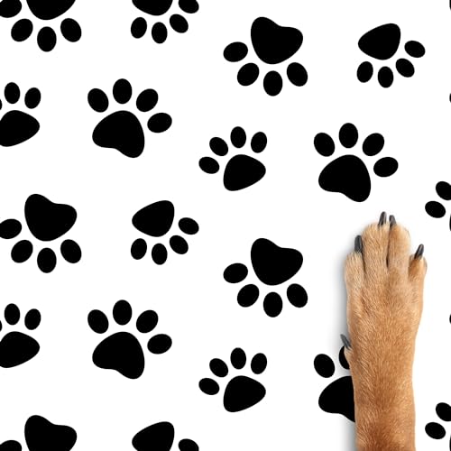 Hi Sasara 30 Folhas Grandes de 20x28