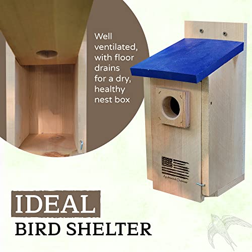 Made-in-USAPremium-Rustic-Cedar-Bird-HousesDurable-Bird-Houses-for-Outside-wPredator-GuardEasy-to-Install-Bird-Box-for-Bluebirds-Chickadees-and-WrensIncludes-Mounting-Screws-Applewood-Outdoor Made in USAPremium Rustic Cedar Bird HousesDurable Bird Houses for Outside wPredator GuardEasy to Install Bird Box for Bluebirds Chickadees and WrensIncludes Mounting Screws Applewood Outdoor