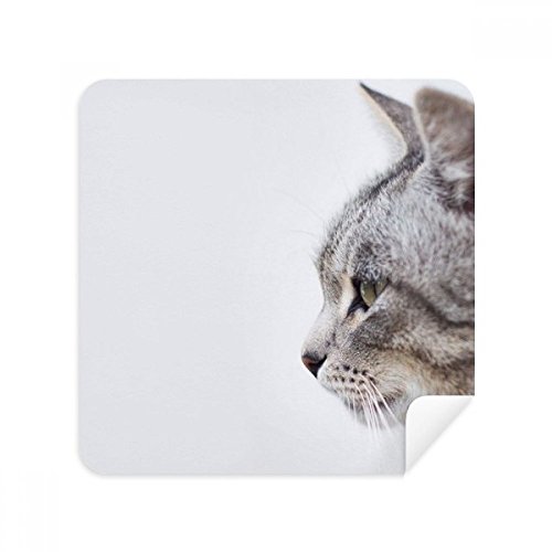 Chiffon de nettoyage lunettes chat bâillant en suède pour écran lot de 2