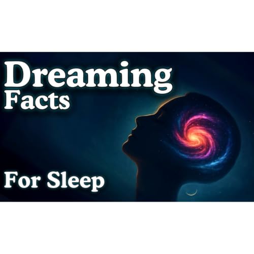 Relaxing Facts About Dreams To Fall Asleep To