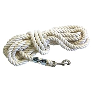 Intrepid International Premium Horse Rope Lunge Line – Durable 1/2″ Diameter, 25′ Length Cotton Lunge Line with Secure Snap for Equestrian Training Excellence, White