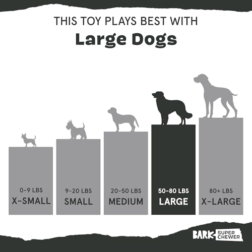 Image of BarkBox Tug Tied Toad Dog Toy | for Tough Chewers - Durable Rubber Design, Perfect for Tug-of-War