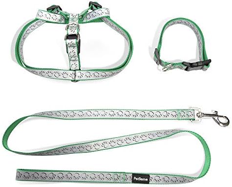 Adjustable Reflective Pet Leash Collar Harness Set Double Band Nylon Dog Paw's Print Leash Set for Small Medium Pet for Walking Green,Medium