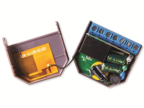 Shelly Em And 50 Amp Ct, Smart Energy Meter And Contactor, Smart Wifi Home Automation, 2 Channels, No Hub Required, Temperature Protection, Compact Design, Monitor Power Consumption, (1 X 50A) #TOP5