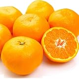 美味いとこどり 有田みかん 和歌山県産 青秀 訳あり 大粒 L〜LLL 甘酸っぱい味わい お歳暮対応 (5kg)