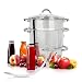 Produktbild Oramics Dampfentsafter aus Edelstahl, 25 cm Durchmesser Saftpresse 8 L Obstpresse Entsafter Induktionsgeeignet