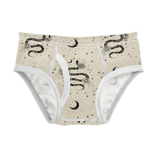 Boys' Exclusive Briefs Toddler Underwear 95% Combed Cotton Boxerbriefs 2T Celestial Snake and Star 40