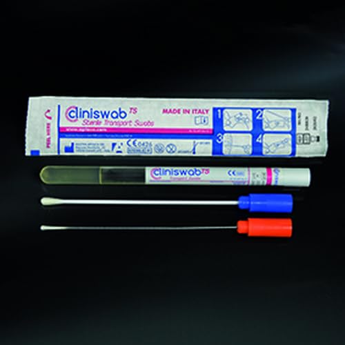TAMPONE STERILE CON TERRENO DI TRASPORTO AMIES