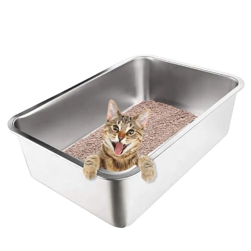 BigFoot Ganci Per Tenda Doccia In Acciaio Inox – Set Da 12, Scorrevoli, Antiruggine, A Doppio Gancio
