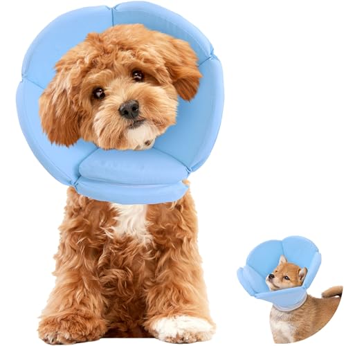 Image of HOMBYS Soft Dog Cone Collar for Dogs After Surgery, Adjustable Dog Cat Recovery Cone Collar for Large Medium Small Dogs and Cats to Stop Liking, Breathable Elizabethan Collar, (L)
