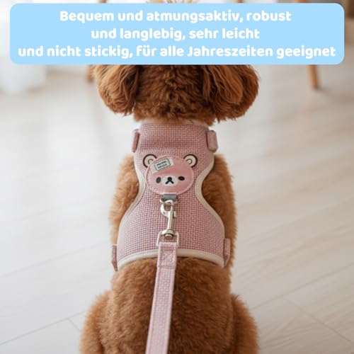Pack of 2, 2er Set Hasenleine, Kaninchen Leine für Zwergkaninchen, Leichtes Geschirr für Kleintiere, Blau und Rosa (S), Ideal für Spaziergänge und Reisen
