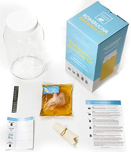 Joshua Tree Kombucha Basic Starter Kit - Basic Homebrew Kit Contains Kombucha SCOBY with Strong Starter Liquid, 1 Gallon Glass Fermenting Jar, Cloth Cover, Easy Brewing Instructions