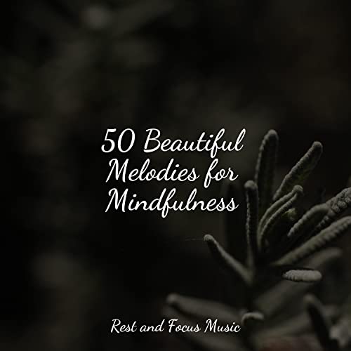 50 Beautiful Melodies for Mindfulness by Relaxing Nature Music, Sleep ...