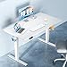 DUMOS 63 Inch Electric Standing Desk Height Adjustable, Sit to Stand Computer Workstations Large Work PC Table Home Office Writing Gaming Desks with Memory Presets for Walking Pad, Bedroom, White