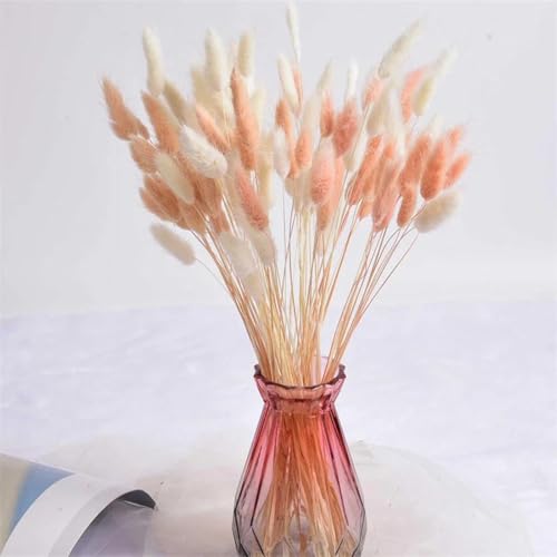 Decoración con pasto pampas seco, 50 unidades, estilo 9 miniatura 3