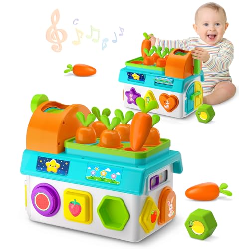 Image of Musical SortingToys for 1 Year Old Boy, 1st First Birthday Boy Girl Gifts Presents, Montessori Educational Learning Toddler Toy, Fine Motor Skills Toy