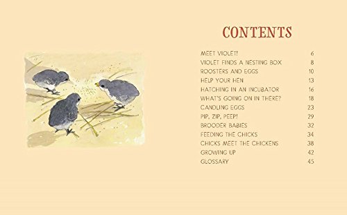 Let's Hatch Chicks!: Explore the Wonderful World of Chickens and Eggs