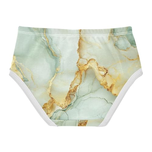 Training Panties Panties Training Briefs Underwear for Toddler in Sizes 2T,3T, 4T, 5T, 6Y and 8Y2