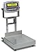 Detecto CA12-120-190 Bench Scale, Electronic, 120 lb. Capacity, Stainless Steel, 190 Indicator, 12" x 12"