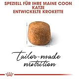 ROYAL CANIN Maine Coon Adult | Doppelpack | 2 x 400 g | Trockenfutter für Katzen | Angepasst auf den Bedarf von Maine Coon Katzen | Zur Unterstützung der Gelenke und Knochen