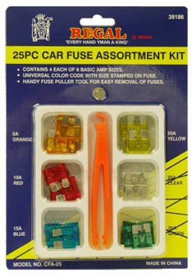 25 Piece Car Fuse Assortment