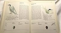 The Illustrated Book Of Birds 0517263238 Book Cover