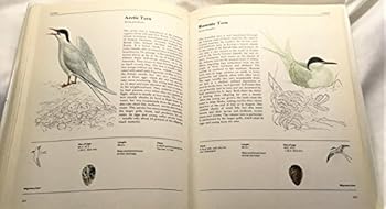 Hardcover The Illustrated Book Of Birds Book