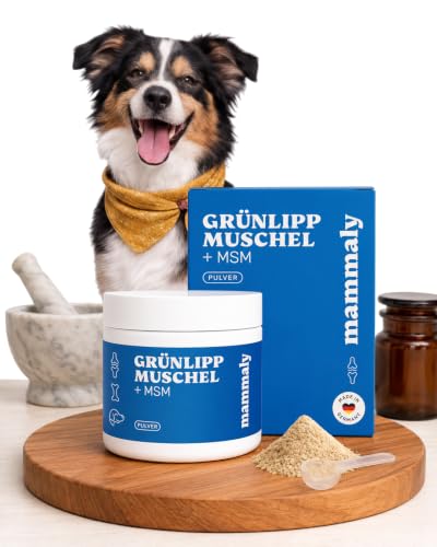 mammaly Grünlippmuschel Pulver für Hunde - 80% Grünlippmuschel & 20% MSM - Hochdosiertes Gelenkpulver, Natürliches Grünmuschel- & Grünlippenpulver für Gelenke & Knochen - 150g, reicht 30-60 Tage