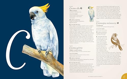 Image of The Complete Language of Birds: A Definitive and Illustrated History (Complete Illustrated Encyclopedia, 13)