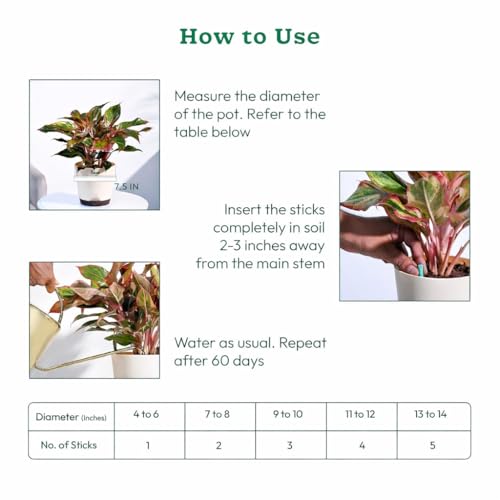 Image of SJ Organics Plant Food Sticks for Vegetables, Herbs & House Plants | Slow Release Gamla Orgnice Food Stricks | Easy Plant Nutrition | Pack of 25