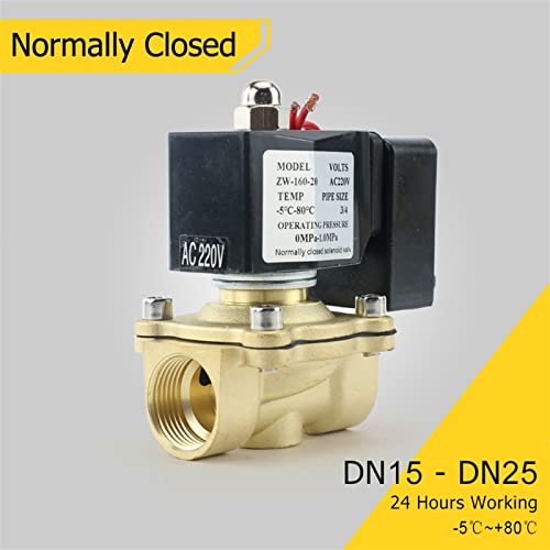 Électrovanne DN15 AC220V pour automatiser l'arrosage du jardin et sécuriser la maison
