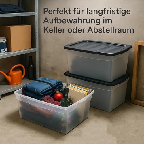 BigDean 3x 60 L Aufbewahrungsbox mit Deckel groß Budget Line Plastikbox mit Deckel