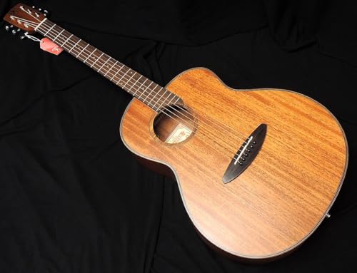 s*h様 aNueNue Bird L 100 エレアコ Amazon | aNueNue Bird Guitar aNN-L20E Solid Mahogany Top マホガ二