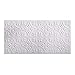 Fasade Easy Installation Traditional 2 Matte White Glue Up Ceiling Tile / Ceiling Panel (2' x 4' Panel)