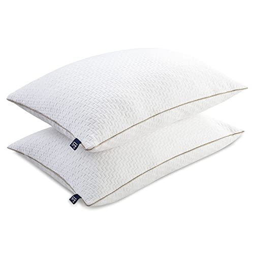 BedStory Lot de 2 oreillers hypoallergéniques et Anti-poussière en Bambou de qualité Alternative pour Les Personnes Dormant sur Le Ventre, Le Dos et sur Le côté, Taille Standard, lavables Cover