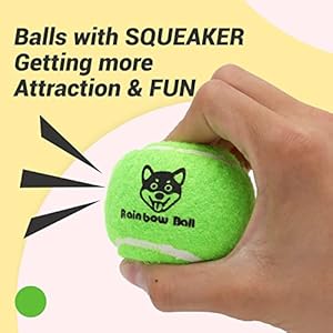 Squeaky Tennis Balls for Dog, Fetch Dog Toy Tennis Balls with Squeaker 12 Pack Colorful 2.5" Dog Toys Balls for Small Medium Large Dogs Squeaky Tennis Balls for Dog, Fetch Dog Toy Tennis Balls with Squeaker 12 Pack Colorful 2.5″ Dog Toys Balls for Small Medium Large Dogs