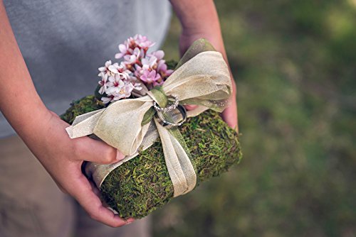 SuperMoss (22430) All Purpose Moss Mat Runners, Instant Green,Fresh Green 18" x 48"