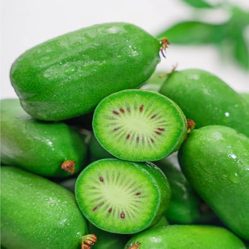 Kiwi Seeds, Container Gardening, Patio Vine, Balcony Garden, Small‑Space Growing 350pcs