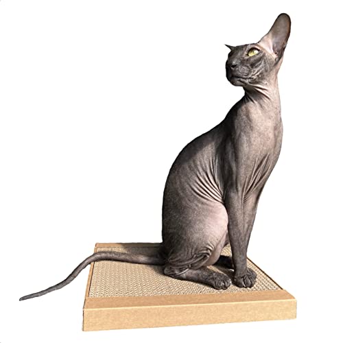 Premium Cat House made from Recyclable Cardboard Cubes with Scratch Panel (ScratchPanel), Craft - Image 2