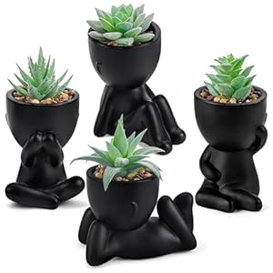 Der Rose 4 Packs Fake Plants Succulents Plants Artificial in Pots for Black Bathroom Accessories Bedroom Living Room Office Desk Decor